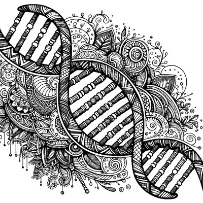 A DNA Double Helix With Decorative Patterns