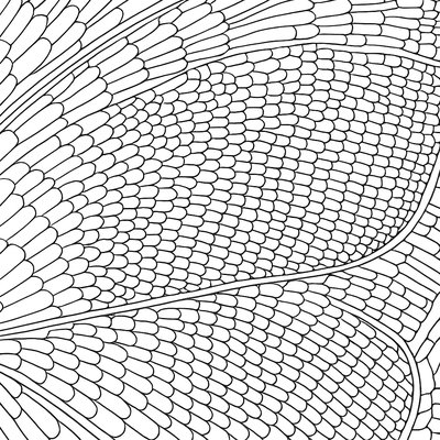 Magnified View Of A Butterfly Wing Showing Detailed Scale Patterns