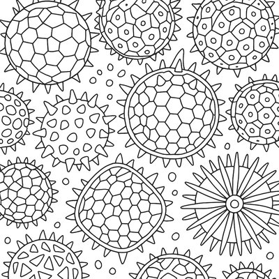 Microscopic View Of Pollen Grains With Detailed Surface Patterns