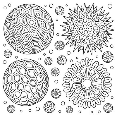 Pollen Grains Magnified Showing Intricate Geometric Patterns