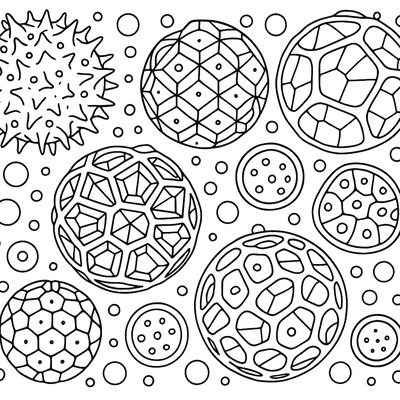 Pollen Grains Viewed Under A Microscope With Detailed Structures