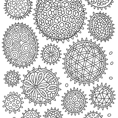 Magnified View Of Pollen Grains From Different Spring Flowers