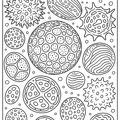 Microscopic View Of Flower Pollen Grains