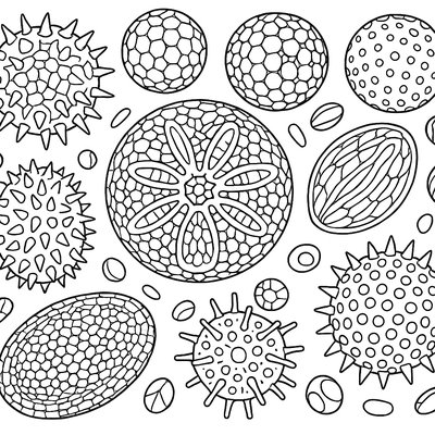 Microscopic View Of Pollen Grains With Detailed Geometric Patterns