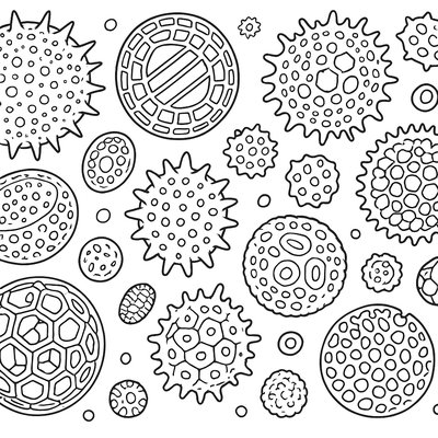 Pollen Grains Magnified Showing Their Unique Shapes