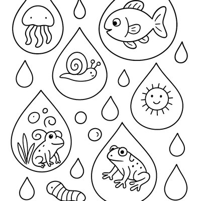 Water Droplets With Tiny Organisms And Creatures Inside